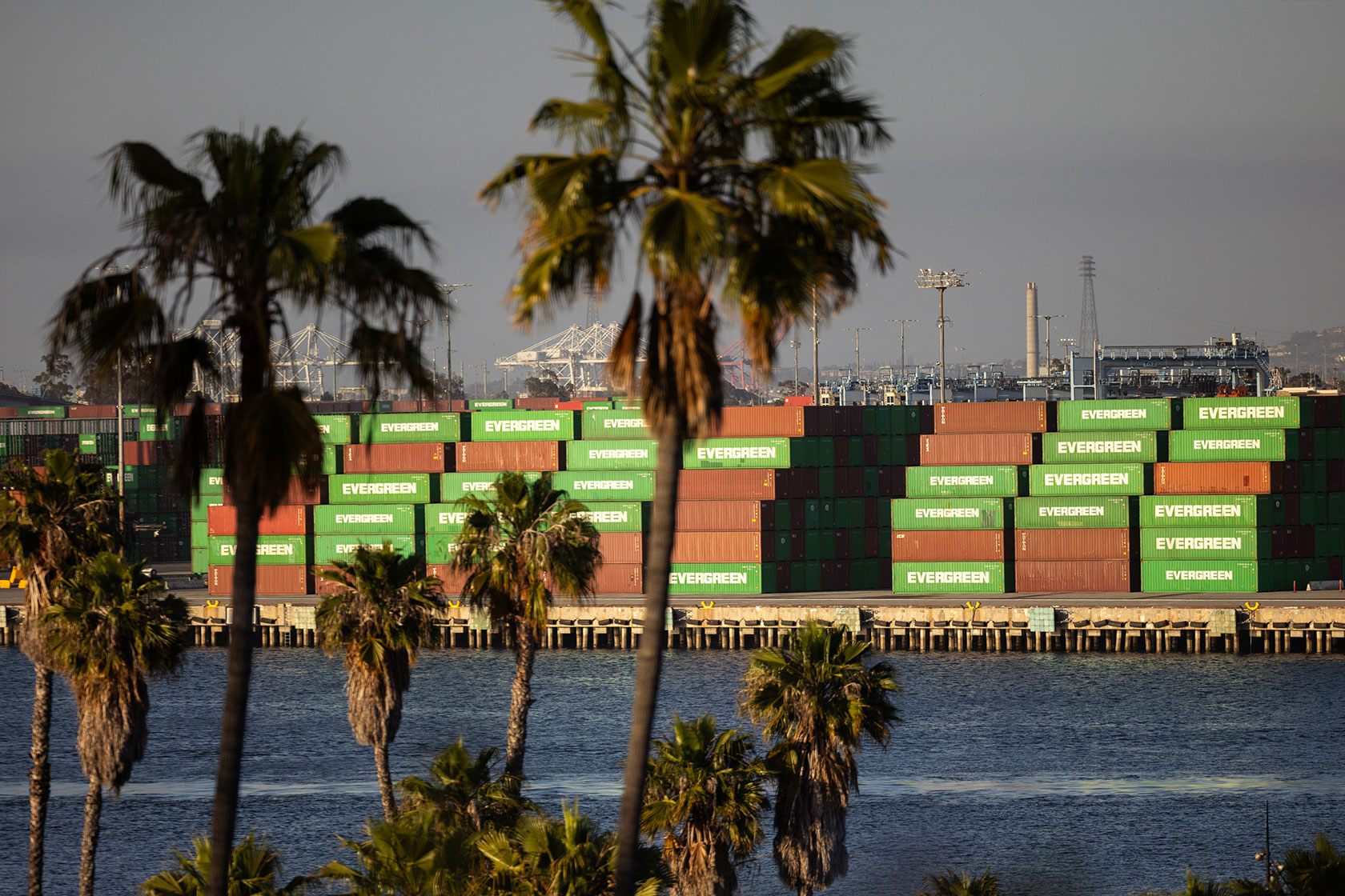 Shipping containers seen across water with palm trees in foreground