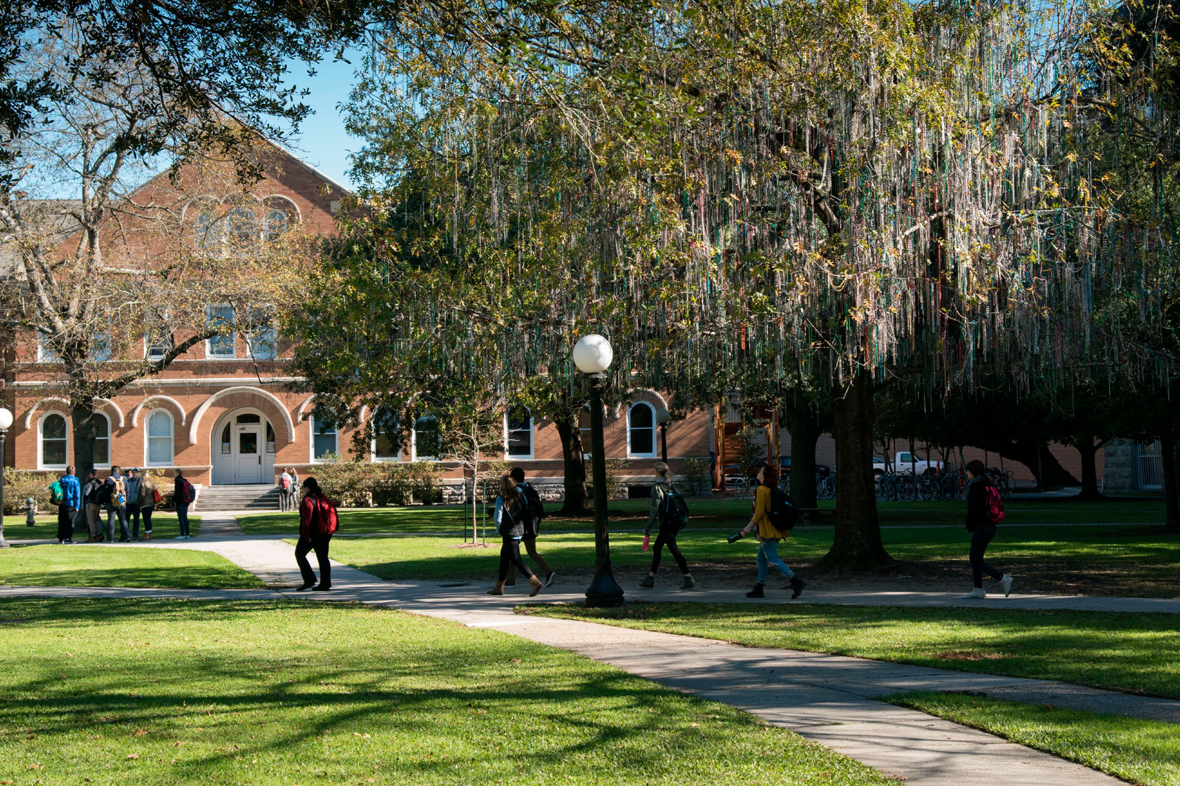 Students walk past a tree with beads dangling from its limbs.