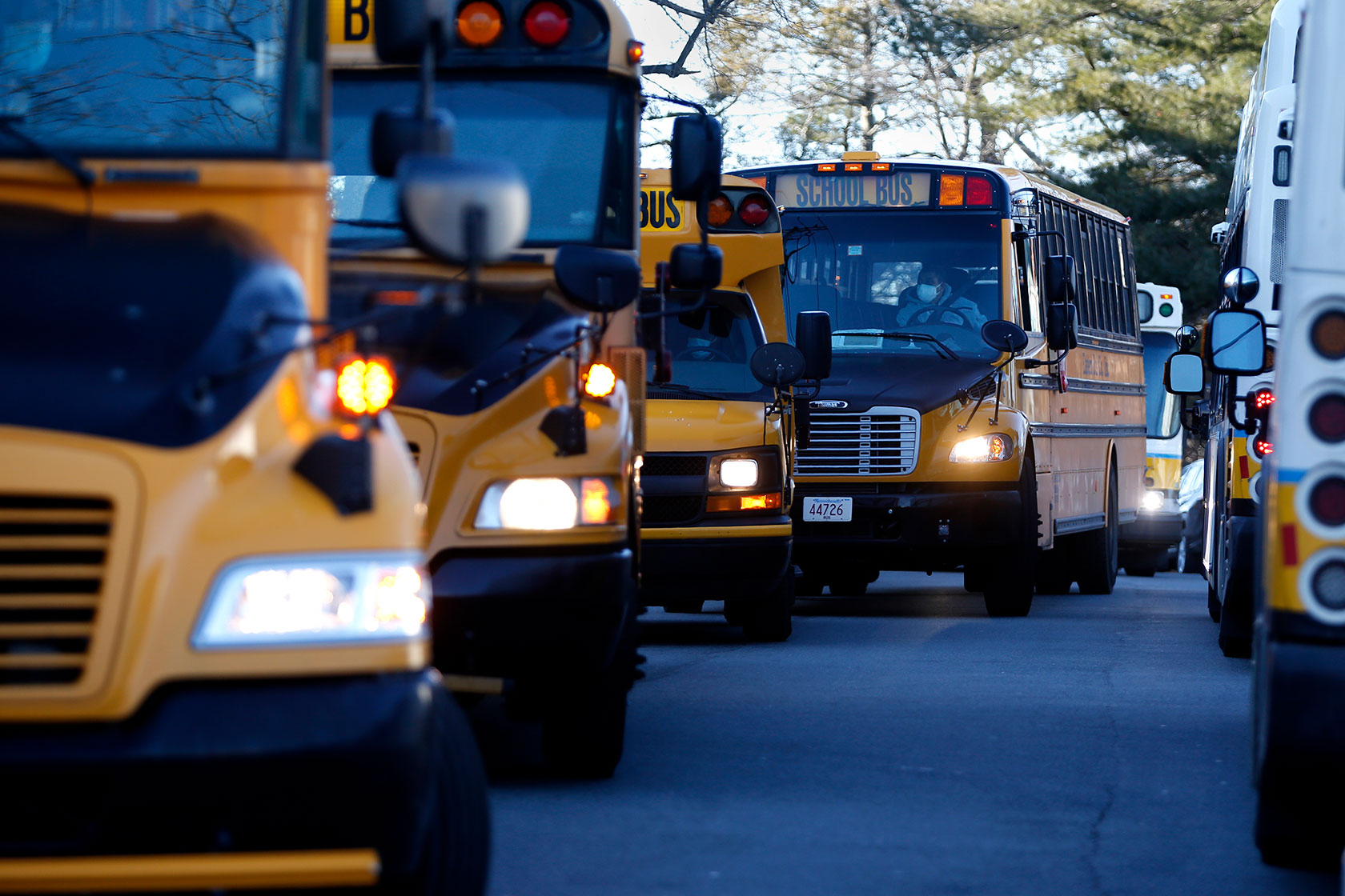 Line of yellow school buses