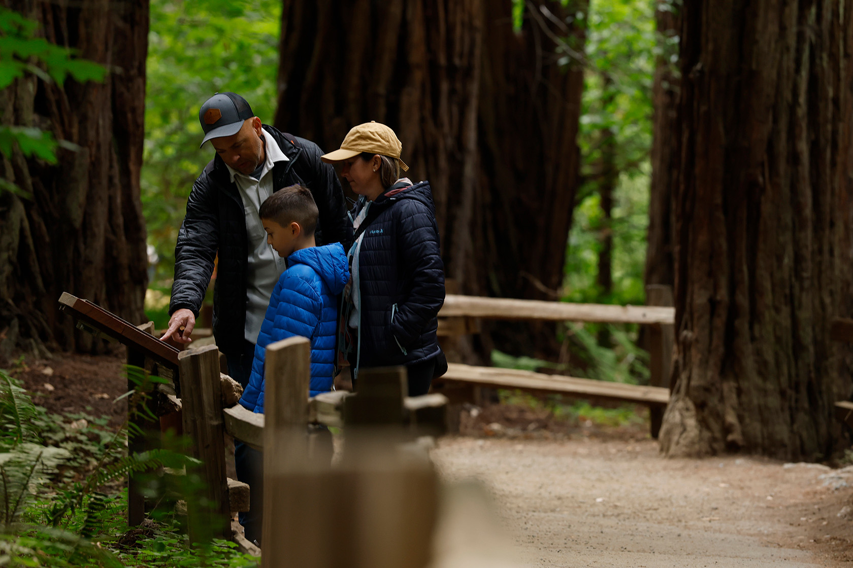 Visitors look at an exhibit at Muir Woods National Monument.