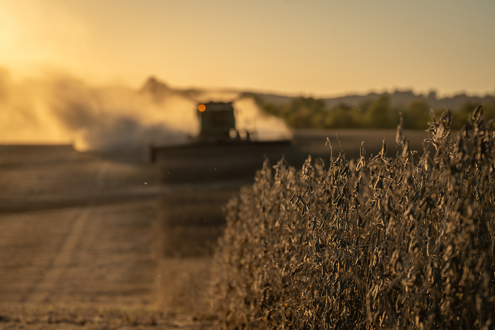 A combine harvests soybeans in Kentucky.