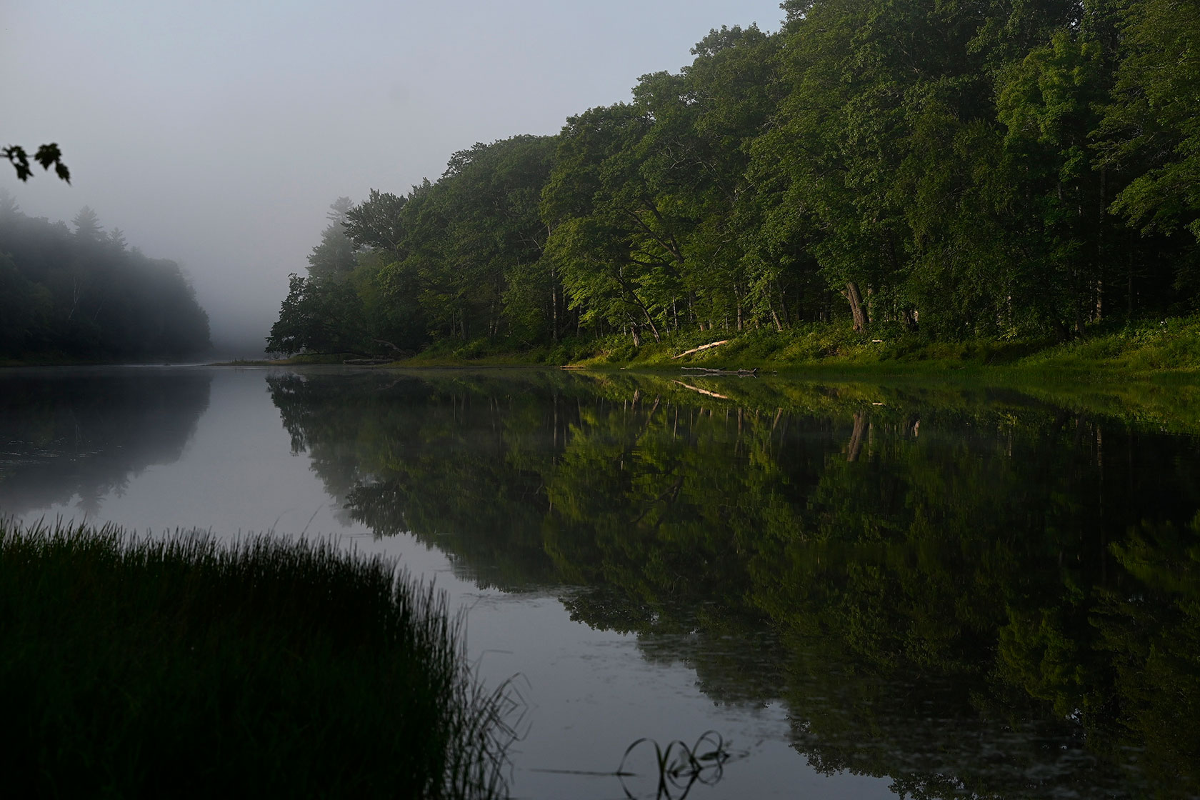 A river and trees in fog