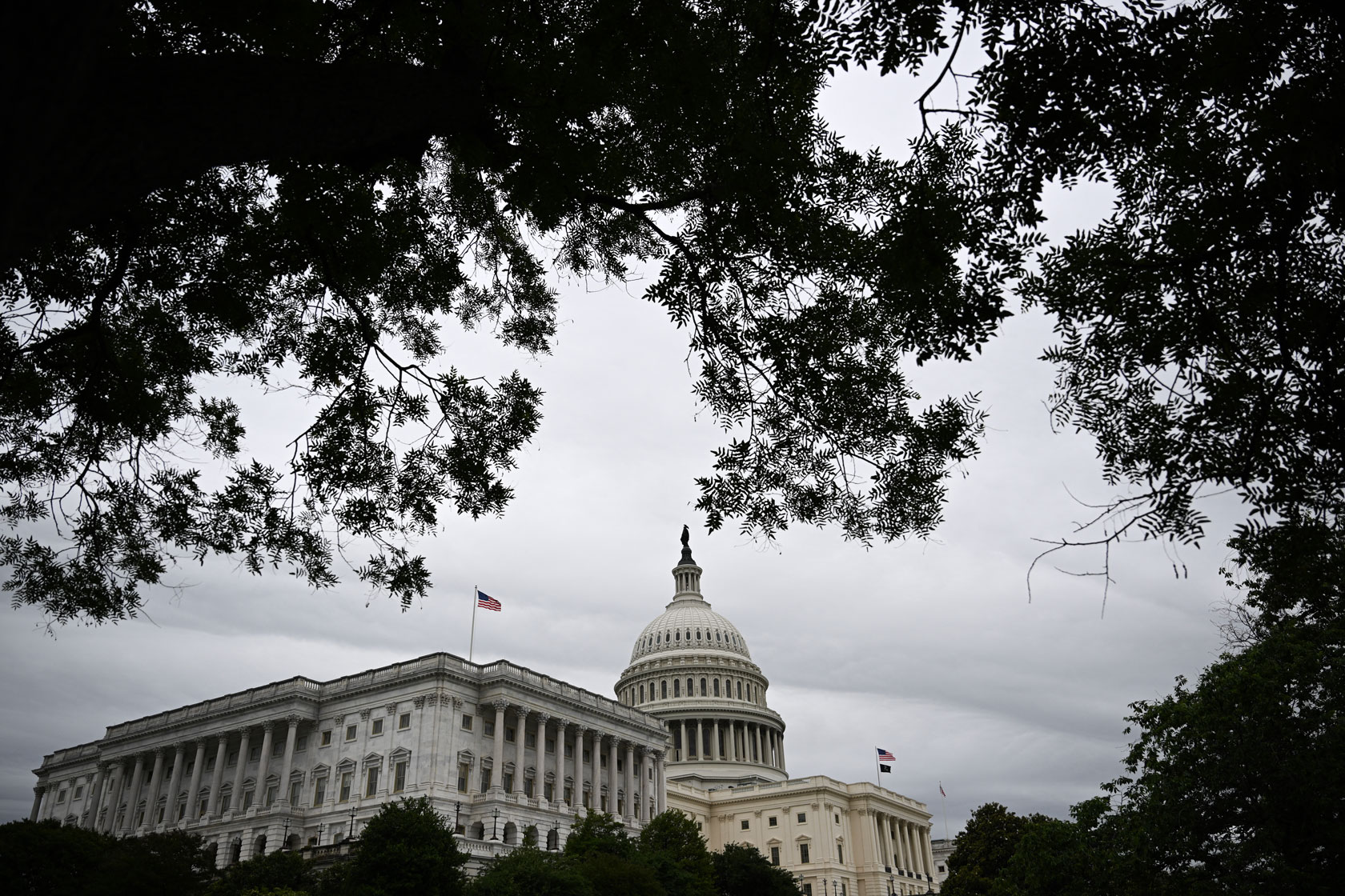 How Federal Attacks on Diversity and Inclusion Policies Have Dismantled Public Health Infrastructure and Threaten National Health Security