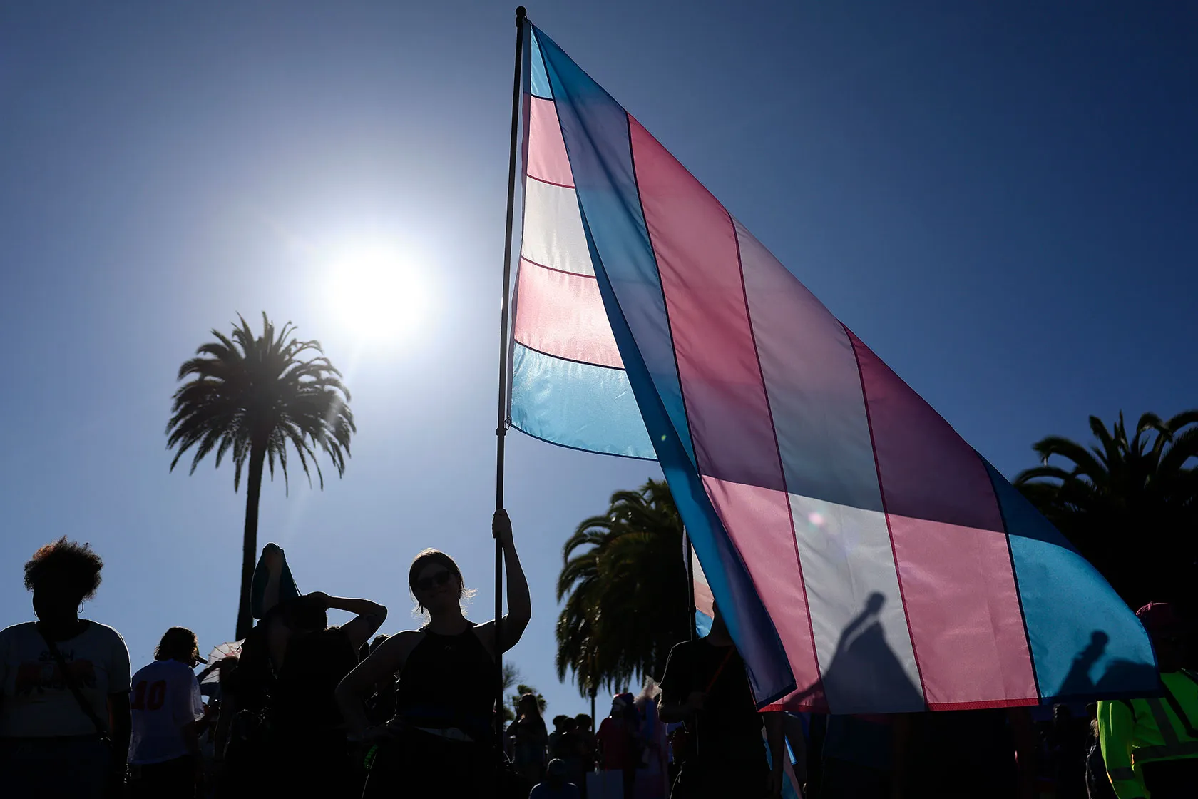 People in silhouette at march, one holding flag with light pink, white, and light blue horizontal stripes. Palm tree and sun in background.